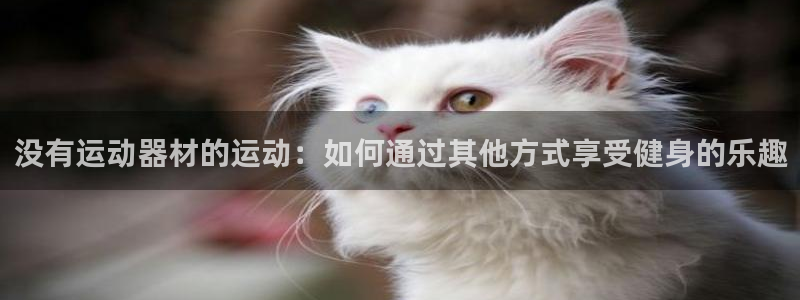 哈哈體育新能源：沒有運(yùn)動(dòng)器材的運(yùn)動(dòng)：如何通過其他方式享受健身