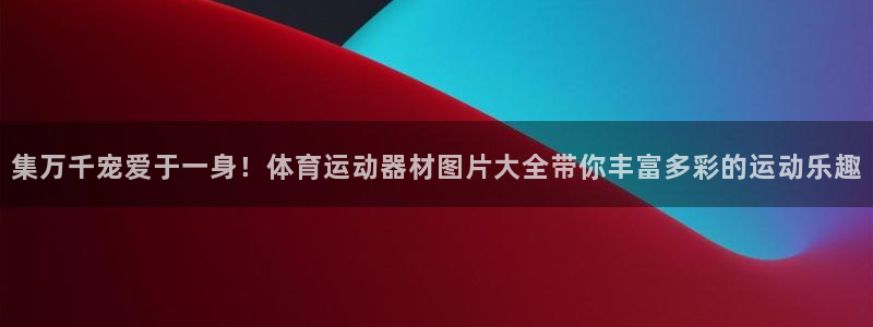 哈哈體育娛樂平臺：集萬千寵愛于一身！體育運動器材圖片